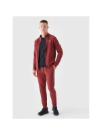 Pánské rychleschnoucí tréninkové kalhoty 4F 4FRAW24TFTRM0933-61S