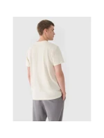 Pánské hladké tričko 4F 4FRAW24TTSHM2602-83S