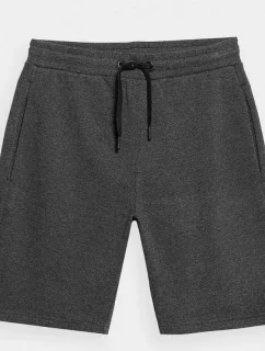 Pánské šortky M 4FSS23TSHOM156 23M - 4F