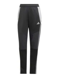 Kalhoty adidas Tiro 24 Winter W IX7887 dámské