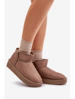 Dámské Sněhule Na Platformě D.Franklin DFSH370010 Taupe