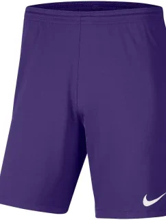 Pánská obuv Dry Park III NB K M BV6855 547 - Nike