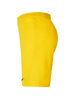 Pánské šortky Dry Park III NB K M BV6855 719 - Nike