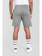 Fruit of the Loom Iconic 250 Shorts Teplákové kraťasy 16.4066 athletic heather Fruit of the Loom Iconic 250 Shorts Teplákové kraťasy 16.4066 athletic heather