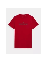 Tričko 4F M 4FSS23TTSHM539-62S pánské Tričko 4F M 4FSS23TTSHM539-62S pánské