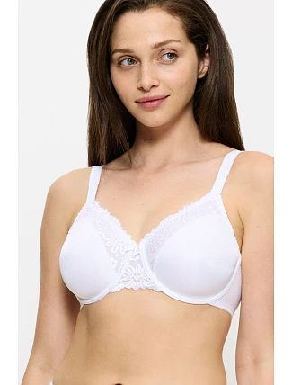 Soft model 229351 Triumph