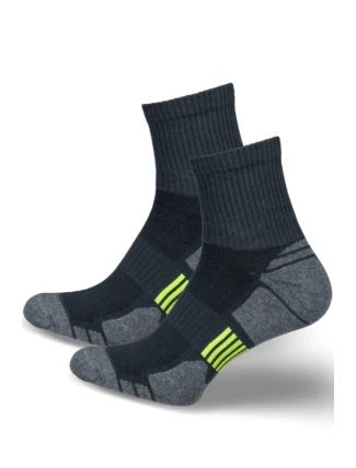 Pánské ponožky ACTIVE 0224.022