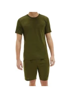 Pánské tričko s krátkým rukávem NB2364E-0S6 - Calvin Klein