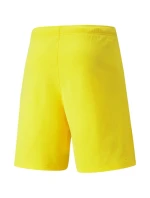 Pánské šortky teamRISE Cyber M 704942 07 - Puma