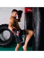 Boxerské rukavice 10oz - Blaze Red - Legacy Series