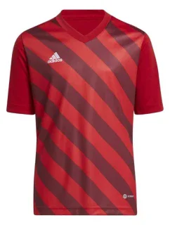 Dětský dres Entrada 22 Graphic Jersey Jr H58983 - Adidas