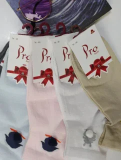 Dámské ponožky PRO 20504