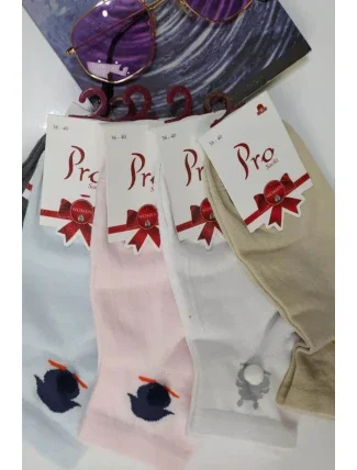 Dámské ponožky PRO 20504 Dámské ponožky PRO 20504