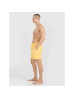 Pánské boardshortky 4F 4FWSS25UBDSM134-71S