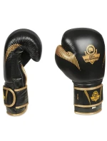 Boxerské rukavice 10oz - Aureos - Valor Series