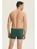 PÁNSKÉ ŠORTKY PRÁZDNÉ 2PACK DLOUHÉ 44522 SS26