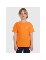 Chlapecké tričko s potiskem 4F 4FJWAW25TTSHM2415-70S