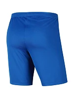 Pánská obuv Dry Park III NB M BV6855 463 - Nike