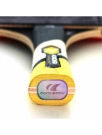 Pálka na stolní tenis Cornilleau Perform 600