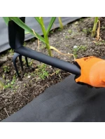 MOTYČKA A ZAHRADNÍ HRÁBĚ