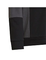 Mikina adidas Colourblock Hoodie Jr HN8563