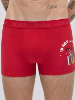 VÁNOČNÍ BOXERKY 20434
