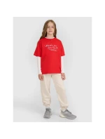 Dívčí tričko s potiskem 4F 4FJRAW25TTSHF3188-62S