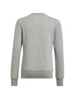 Dívky Big Logo Swt Jr HM8706 - Adidas Dívky Big Logo Swt Jr HM8706 - Adidas