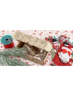 Noční košile 5226 - Doctornap Noční košile 5226 - Doctornap