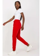 Teplákové kalhoty model 169723 BFG