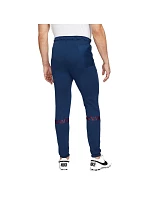 Nike FC Barcelona M kalhoty DH7840-492