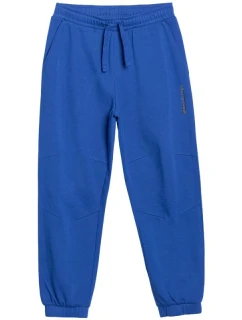 Kalhoty 4F CAS Jr 4FJWSS25TTROM0965 36S