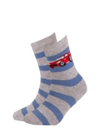 Chlapecké vzorované ponožky Wola U24.P01;W24.P01 21-26