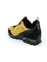 Pánské trekové boty Nativa GTX M 628583 - Aku