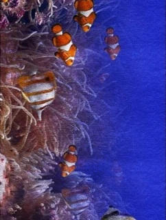 Plážová osuška 100x180