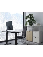 Stolní zařízení s jedním elektromotorem 70Kg sw lite Doprava, expedice