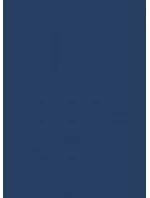 Pánské slipy Gatta Cotton Slip 41547