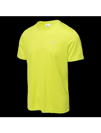 Pánské tričko s krátkým rukávem DILLION