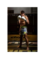 Boxerské rukavice 10oz - Spirit - Valor Series