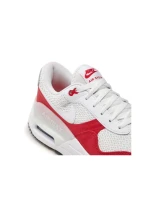 Pánské boty Nike Air Max DM9537-104