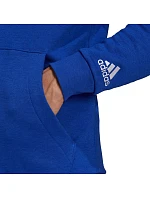 Adidas Essentials Hoodie M H12165 pánské