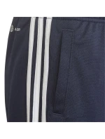 Adidas Designed 2 Move 3-Stripes šortky Jr HN8544 Adidas Designed 2 Move 3-Stripes šortky Jr HN8544