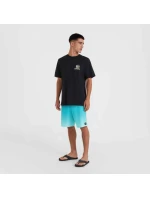 Plážové tričko s grafikou O'Neill M 92800613988
