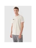 Pánské hladké tričko 4F 4FRAW24TTSHM2602-83S