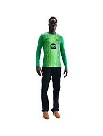 Pánský dres Nike FC Barcelona 2025/26 Stadium Goalkeeper green HQ0477 311 pánské