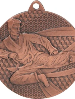Bronzová medaile - karate - ocelová medaile