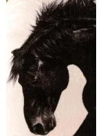 Bavlněná deka Cotton World Touch Animal, Motor 160x200 Bavlněná deka Cotton World Touch Animal, Motor 160x200