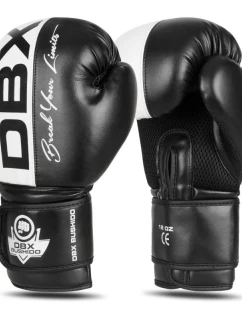 Boxerské rukavice 10oz - Harmony - Valor Series