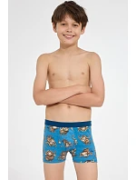 BOXERKY BOY YOUNG 700 J/26 BOXERKY BOY YOUNG 700 J/26