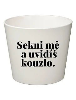 SEKNI MĚ A UVIDÍŠ KOUZLO. - velký květináč 